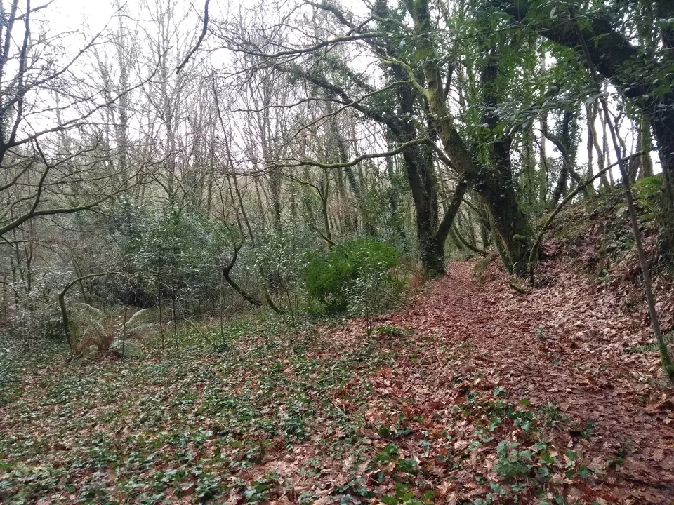 <p>O Concello de Ames, en colaboraci&oacute;n coa Plataforma pola recuperaci&oacute;n do r&iacute;o Sar, convocou&nbsp;unha concentraci&oacute;n este pasado s&aacute;bado, 10 de febreiro de 2018, en contra da construci&oacute;n da EDAR no lugar de O Souto, en Santiago de Compostela, facendo&nbsp;unha andaina dende Roxos ata O Souto, onde se desenvolver&aacute; dita proposta. O obxectivo foi&nbsp;dar a co&ntilde;ecer o gran impacto ambiental que supor&aacute; o desmonte dunha zona de gran riqueza ambiental, paisax&iacute;stica e patrimonial, debido a diversos intereses particulares ou partidistas.<br />
<br />
Mais dun centenar&nbsp;de veci&ntilde;as e veci&ntilde;os de Ames e Santiago de Compostela participamos nesta andaina&nbsp;para parar este atentado contra o patrimonio ambiental e arqueol&oacute;xico.</p>
