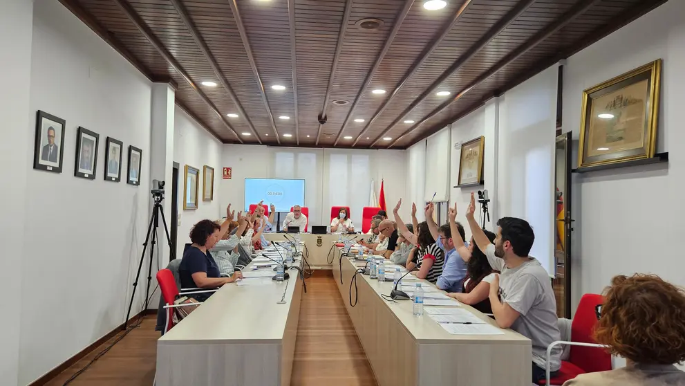 Votaci&oacute;n no pleno de maio
