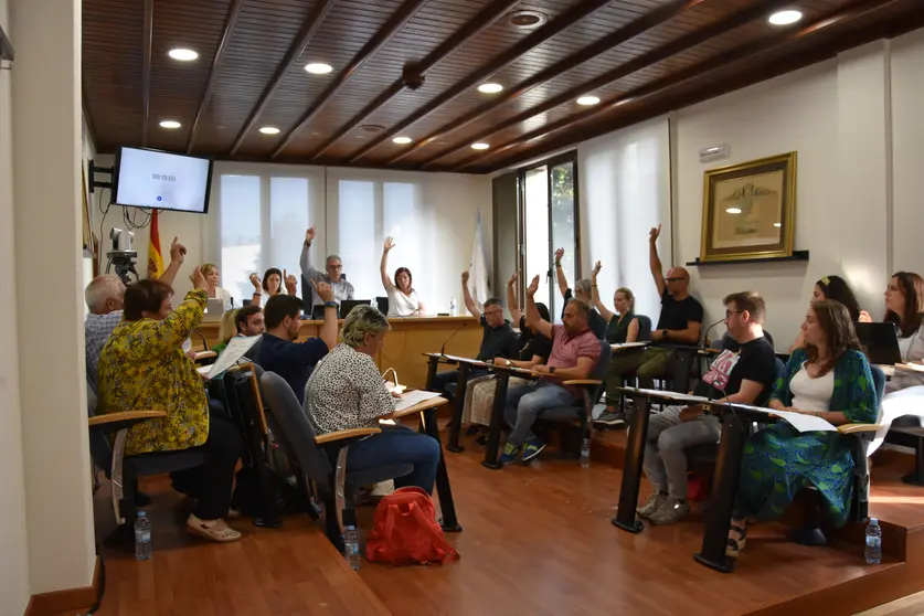 Votaci&oacute;n pleno de organizaci&oacute;n 28 de xu&ntilde;o de 2023