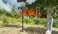 Ames necesita un parque de bombeiros, o alcalde non pode seguir xogando coa seguridade da veciñanza de Ames.