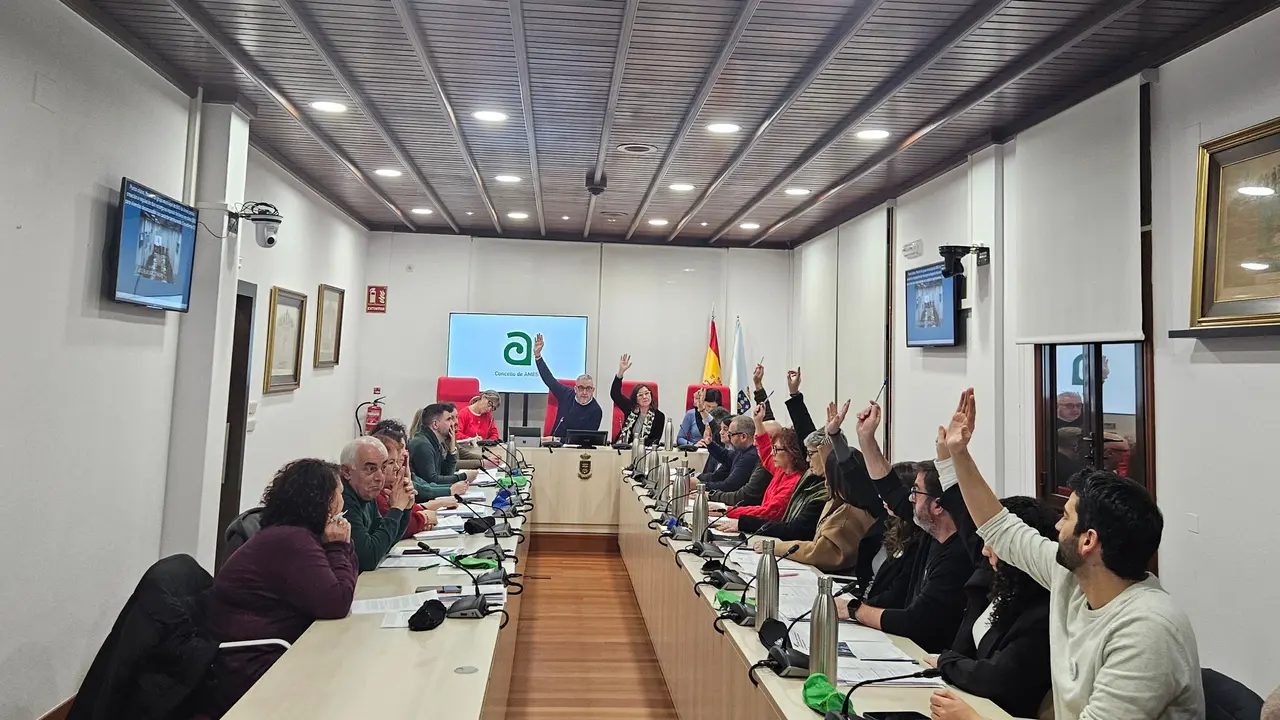 Momento da votaci&oacute;n da moci&oacute;n  presentada polo BNG de Ames