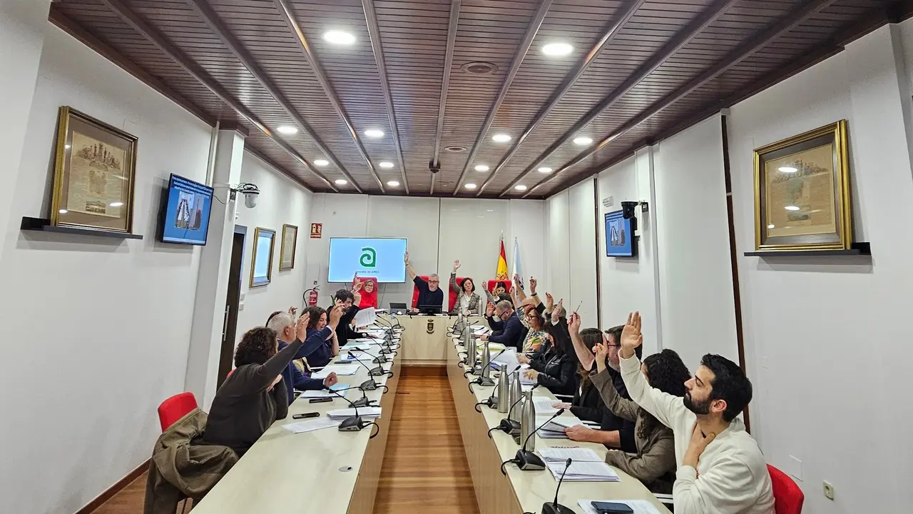 Momento da votaci&oacute;n no pleno