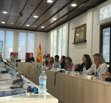 Pleno Extraordinario do Consello Escolar Municipal de Ames