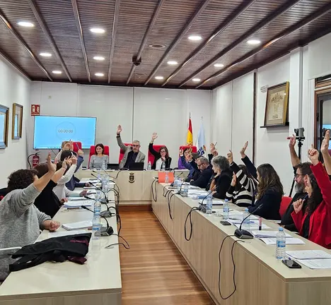 Votaci&oacute;n por unanimidade no pleno