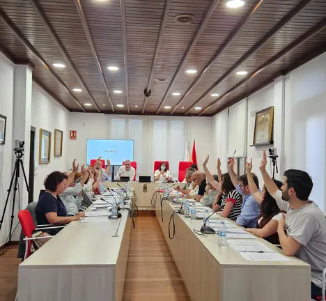Votaci&oacute;n no pleno de maio