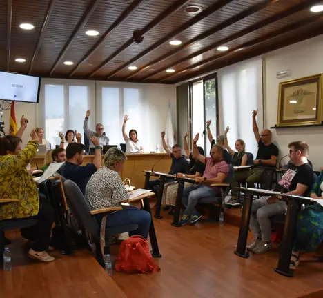 Votaci&oacute;n pleno de organizaci&oacute;n 28 de xu&ntilde;o de 2023