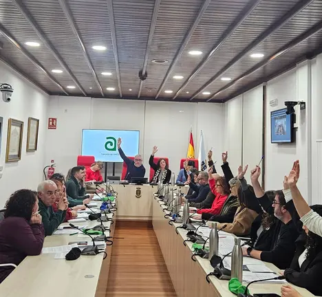 Momento da votaci&oacute;n da moci&oacute;n  presentada polo BNG de Ames