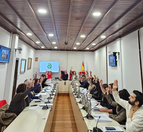 Momento da votaci&oacute;n no pleno