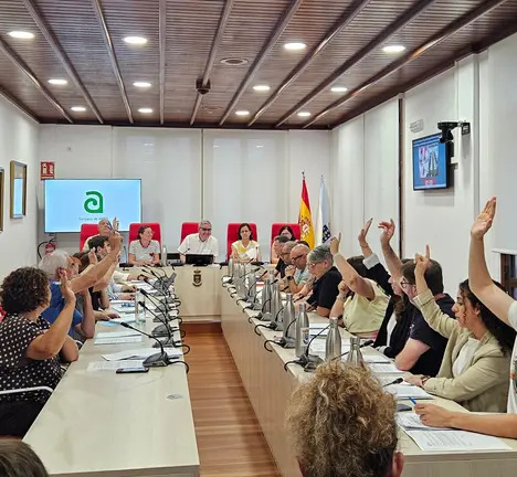 Todos os grupos da oposici&oacute;n votan a favor da moci&oacute;n presentada polo BNG