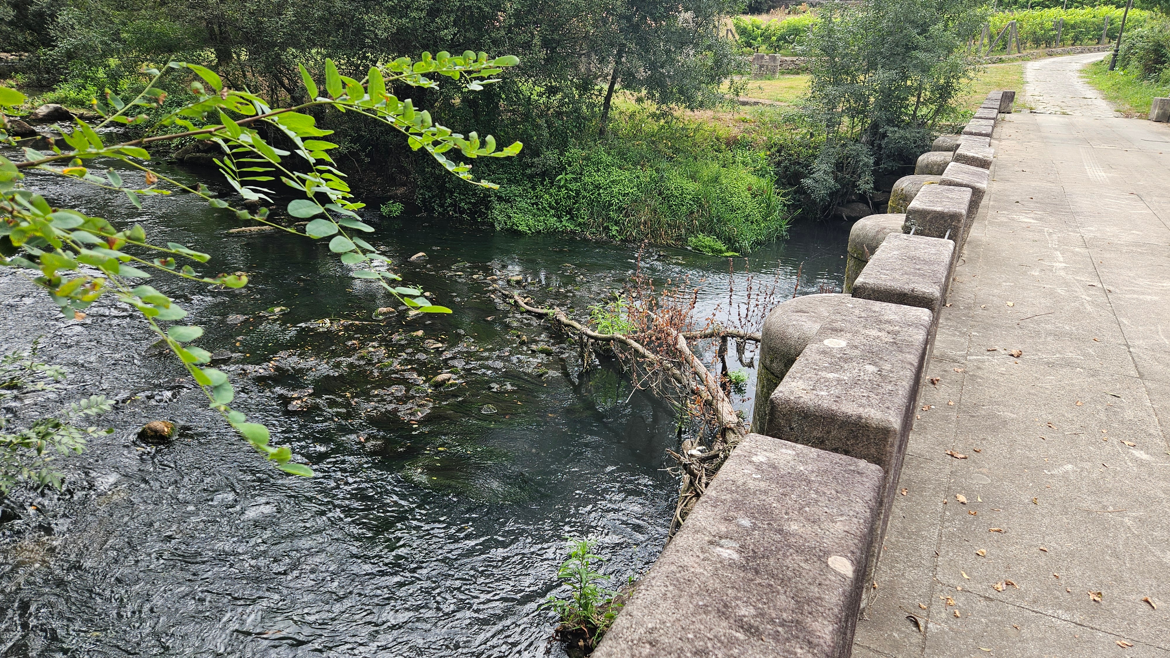 Ponte de Lapido